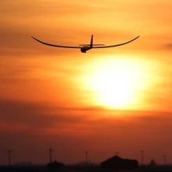 Best reviews of 🌟 E-flite Night Radian 2.0m PNP ✔️ -Cheap RC Planes Store EFL36750 A01 JCGR9MJH