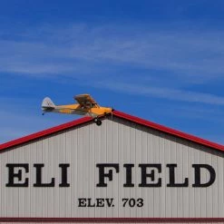 Hot Sale ❤️ Hangar 9 Carbon Cub 15cc ARF, 90" 🛒 40 Hot Sale ❤️ Hangar 9 Carbon Cub 15cc ARF, 90" 🛒 -Cheap RC Planes Store HAN5065 A8 Y3VWKKGS