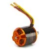 Cheapest 🎁 Spektrum Avian 5065-450Kv Outrunner Brushless Motor 💯